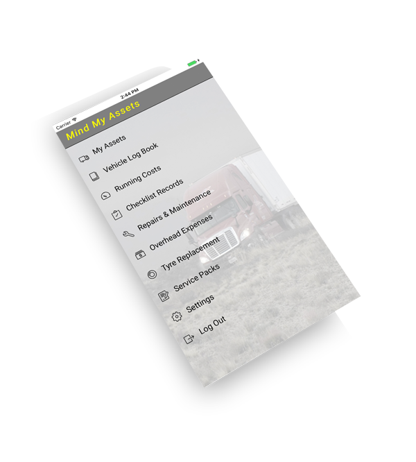 screenshot of Mind My Assets